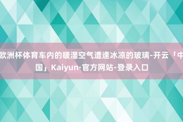 欧洲杯体育车内的暖湿空气遭逢冰凉的玻璃-开云「中国」Kaiyun·官方网站-登录入口