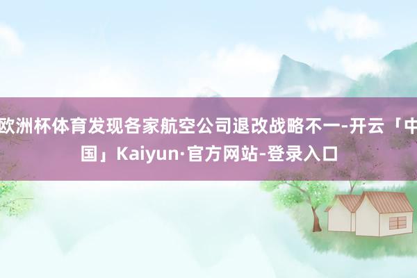 欧洲杯体育发现各家航空公司退改战略不一-开云「中国」Kaiyun·官方网站-登录入口