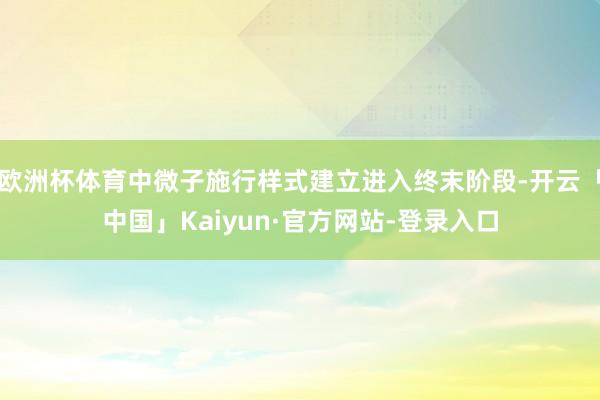 欧洲杯体育中微子施行样式建立进入终末阶段-开云「中国」Kaiyun·官方网站-登录入口