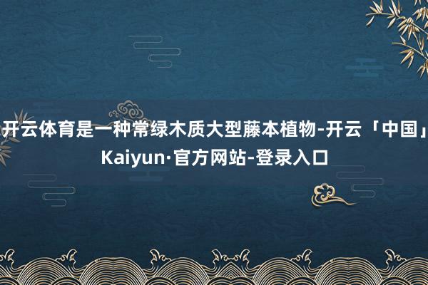 开云体育是一种常绿木质大型藤本植物-开云「中国」Kaiyun·官方网站-登录入口