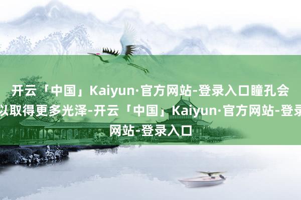 开云「中国」Kaiyun·官方网站-登录入口瞳孔会放大以取得更多光泽-开云「中国」Kaiyun·官方网站-登录入口