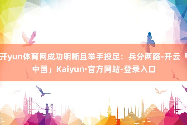 开yun体育网成功明晰且举手投足：兵分两路-开云「中国」Kaiyun·官方网站-登录入口