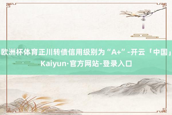 欧洲杯体育正川转债信用级别为“A+”-开云「中国」Kaiyun·官方网站-登录入口